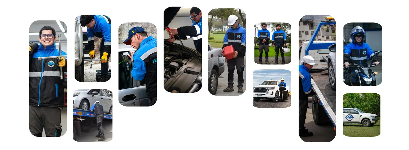 Nosotros fer company asiste